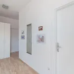 Apartament Marija *